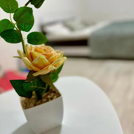 Apartman Oly *