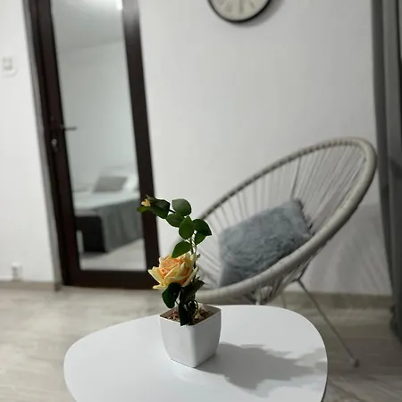 Oly Apartment *